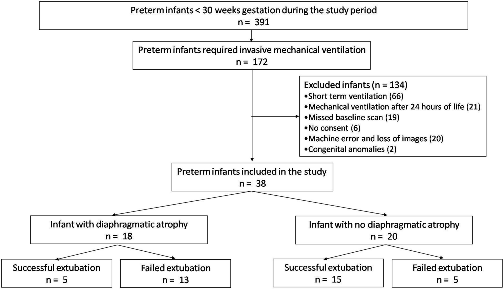 Serial sonographic assessment of diaphragmatic atrophy and lung injury patterns in mechanically ventilated preterm infants to predict extubation failure: a prospective observational study