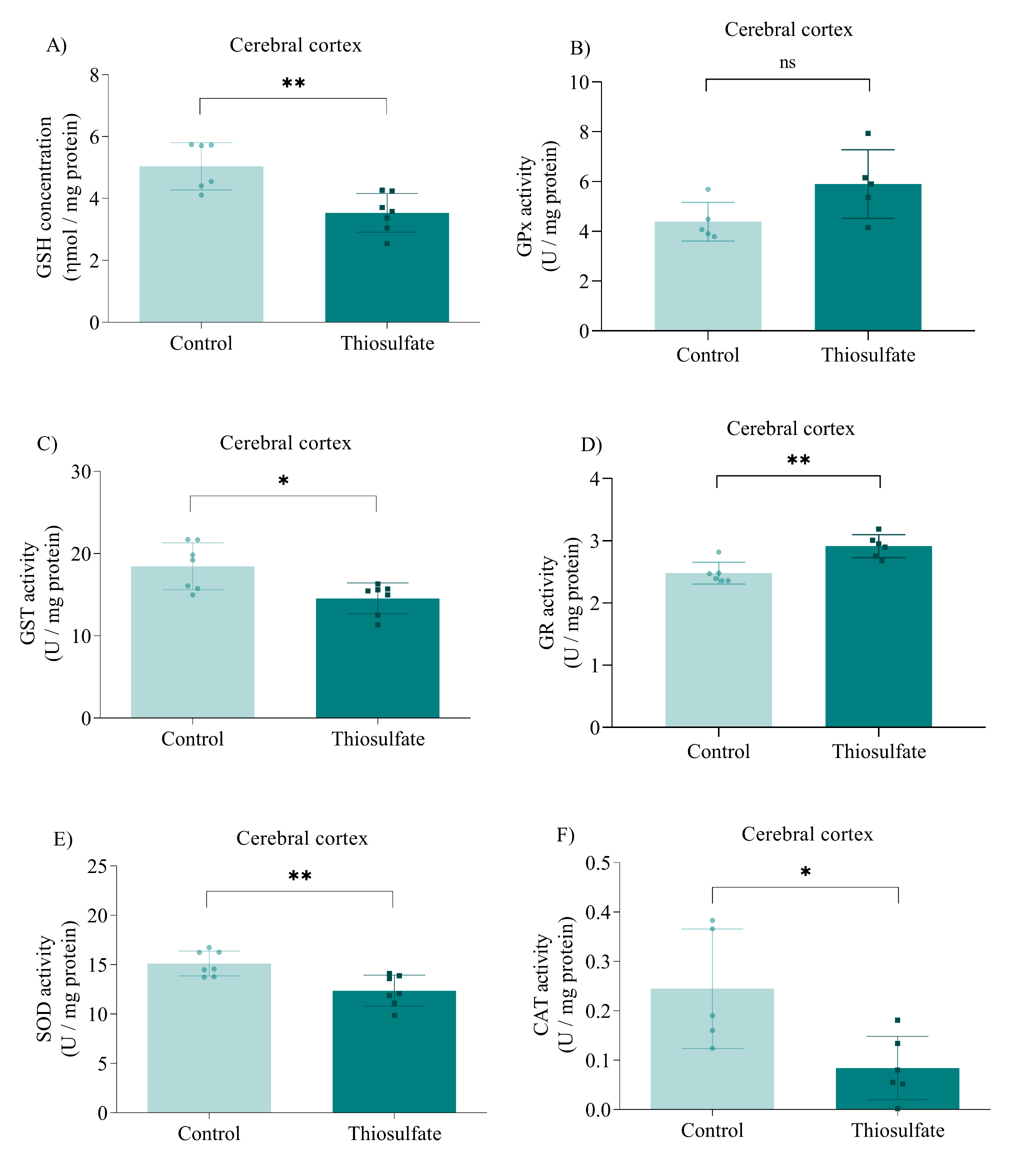 Increased ROS levels, antioxidant defense disturbances and bioenergetic disruption induced by thiosulfate administration in the brain of neonatal rats