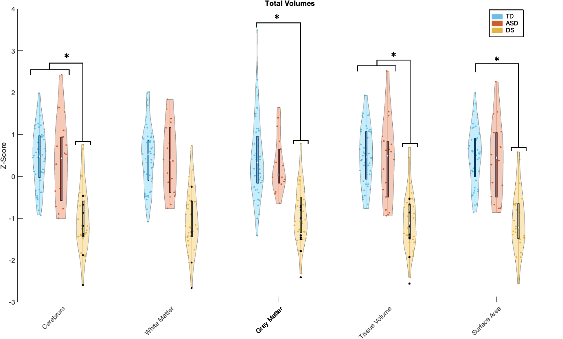 Brain volumes, cognitive, and adaptive skills in school-age children with Down syndrome