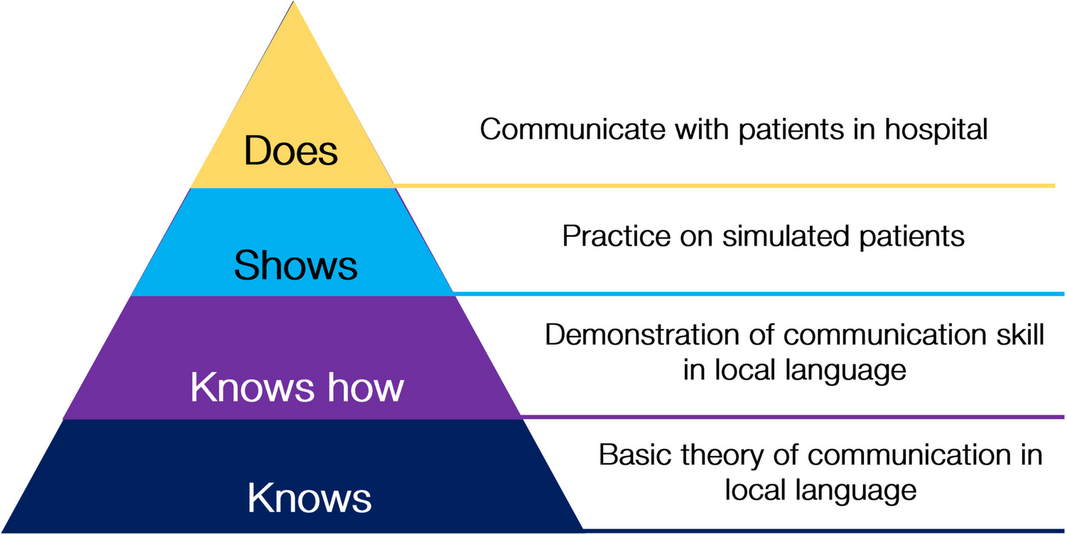 Proficiency in Local Language and Communication Skill Are Essential for Effective Communication in Multilingual Settings