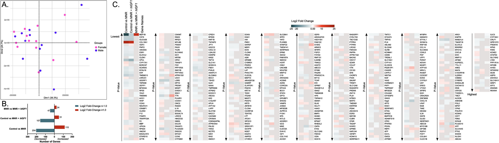 Mid-Pregnancy Placental Transcriptome in a Model of Placental Insufficiency with and without Novel Intervention