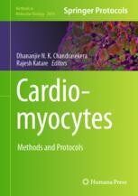 Cardiomyocytes