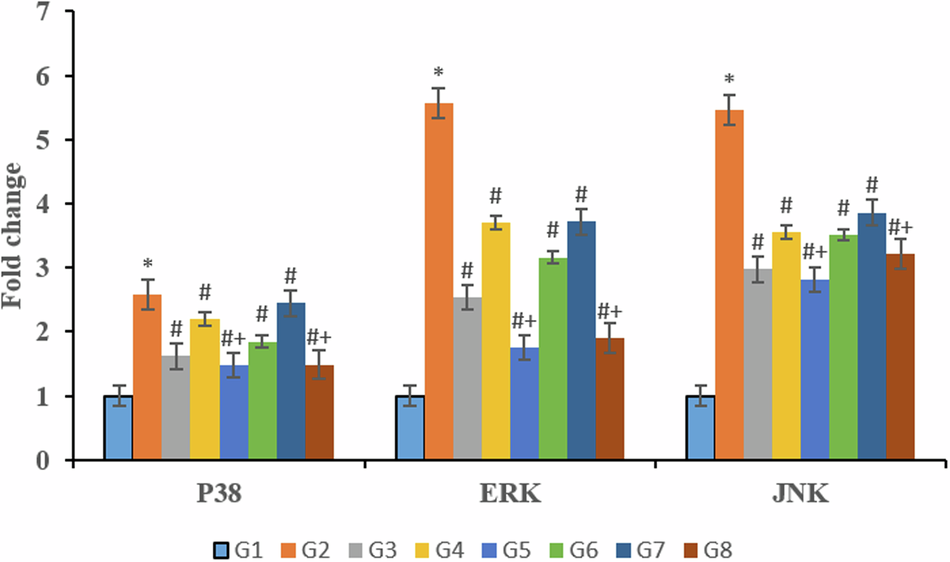 Berberine and Cyperus rotundus extract nanoformulations protect the rats against Staphylococcus-induced mastitis via antioxidant and anti-inflammatory activities: role of MAPK signaling