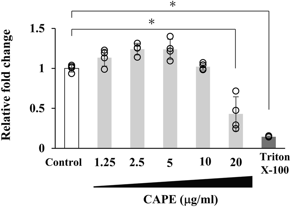 Caffeic Acid Phenethyl Ester Enhances Bone Repair-related Factors in MC3T3-E1 Cells