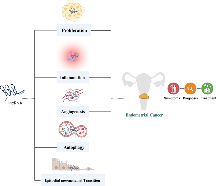 The Role of Long Noncoding RNAs (LncRNAs) in the Pathogenesis of Chemoresistance in Endometrial Cancer: A Molecular Approach and Future Perspective