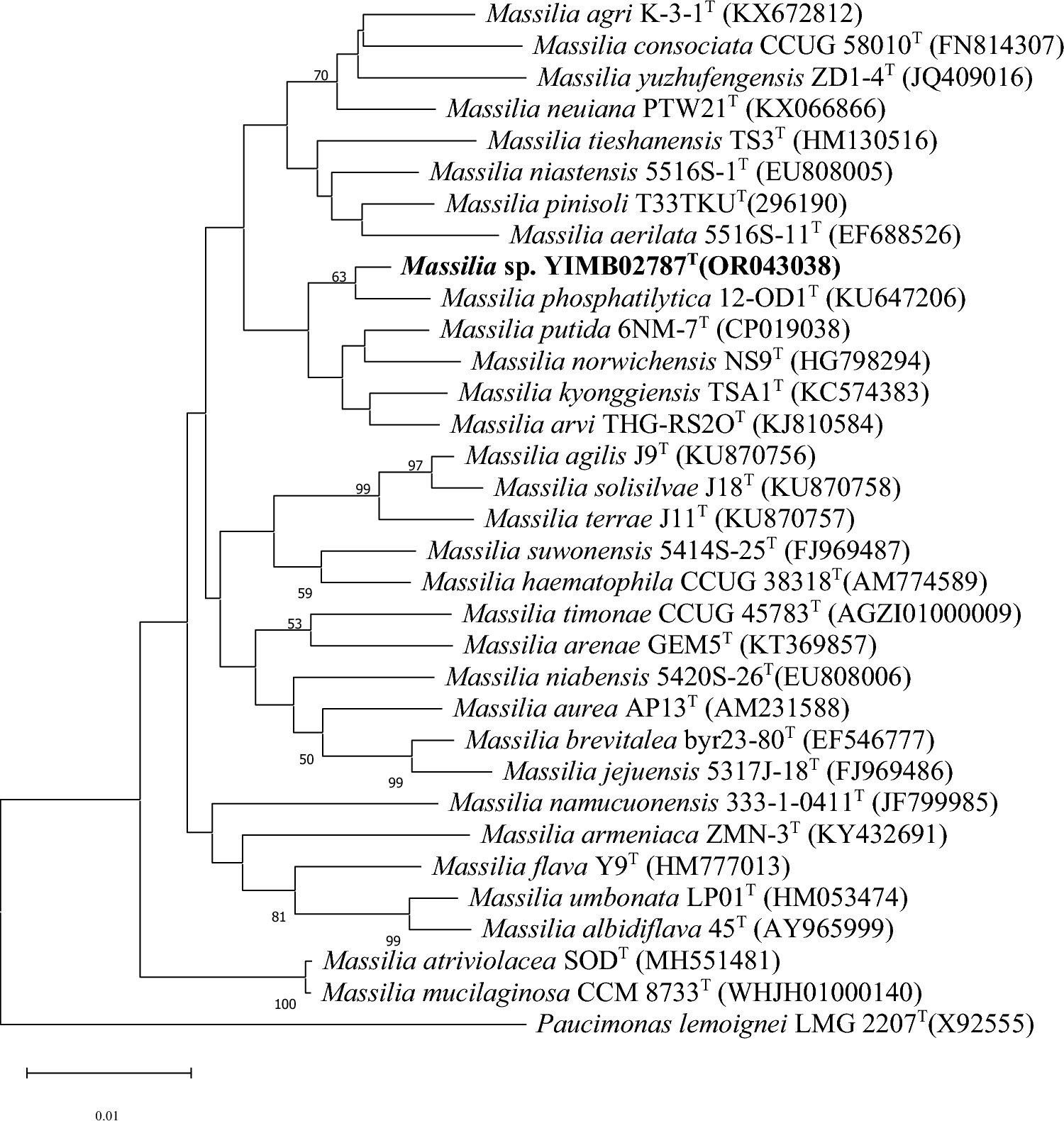 Description of Massilia orientalis sp. nov., Isolated from Rhizosphere Soil of Ageratina adenophora