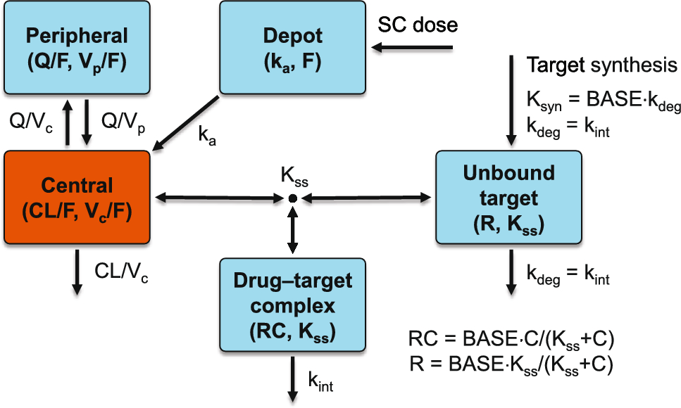 Population Pharmacokinetics of Epcoritamab Following Subcutaneous Administration in Relapsed or Refractory B Cell Non-Hodgkin Lymphoma