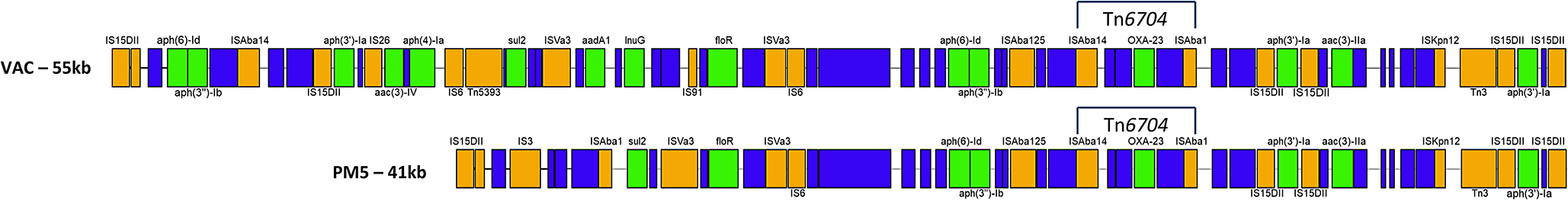 Detection of OXA-23-producing Proteus mirabilis in Switzerland