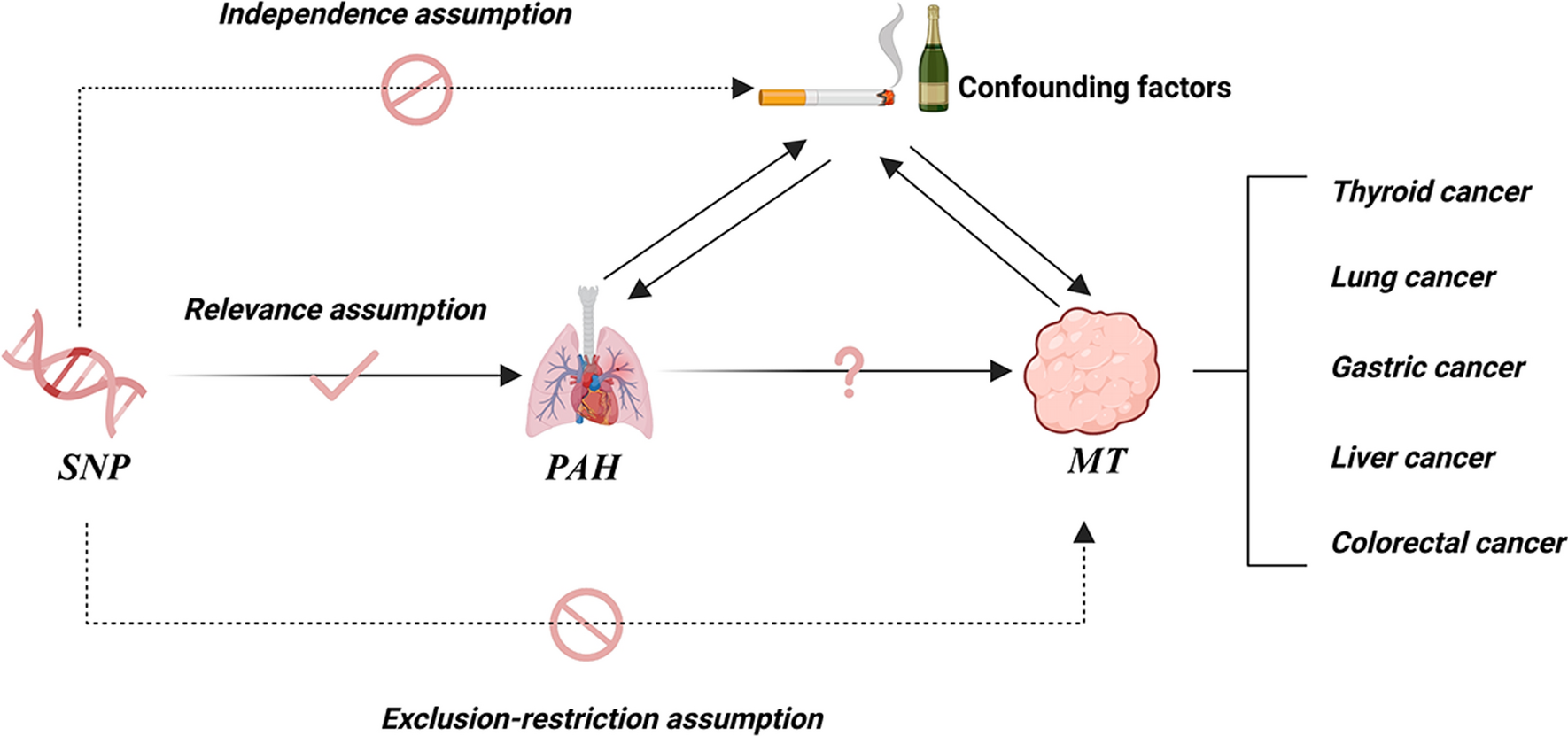 Assessing the causality between pulmonary arterial hypertension and cancer: insights from Mendelian randomization