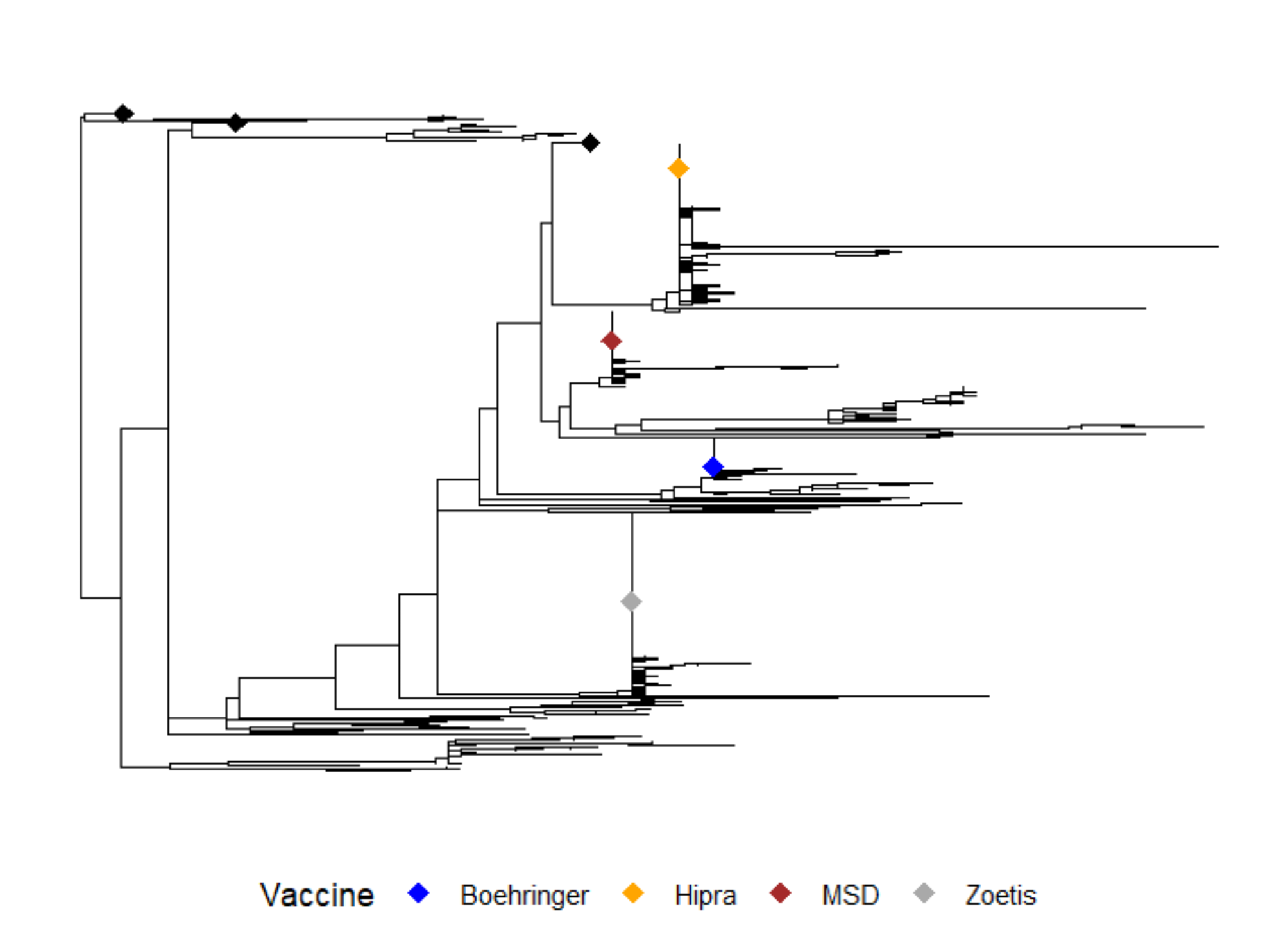 Evolutionary dynamics of PRRS virus in Italian Pig farms: a retrospective study