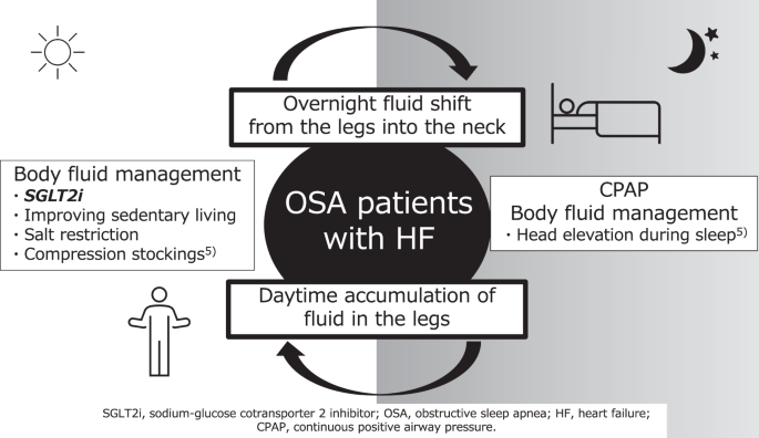 Body fluid management as a treatment for obstructive sleep apnea: a new possibility for sodium-glucose cotransporter 2 inhibitors