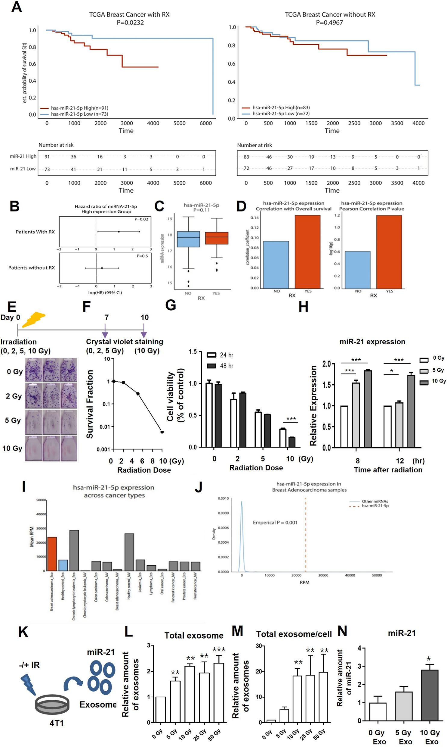 Radiation-induced exosomal miR-21 enhances tumor proliferation and invasiveness in breast cancer: implications for poor prognosis in radiotherapy patients