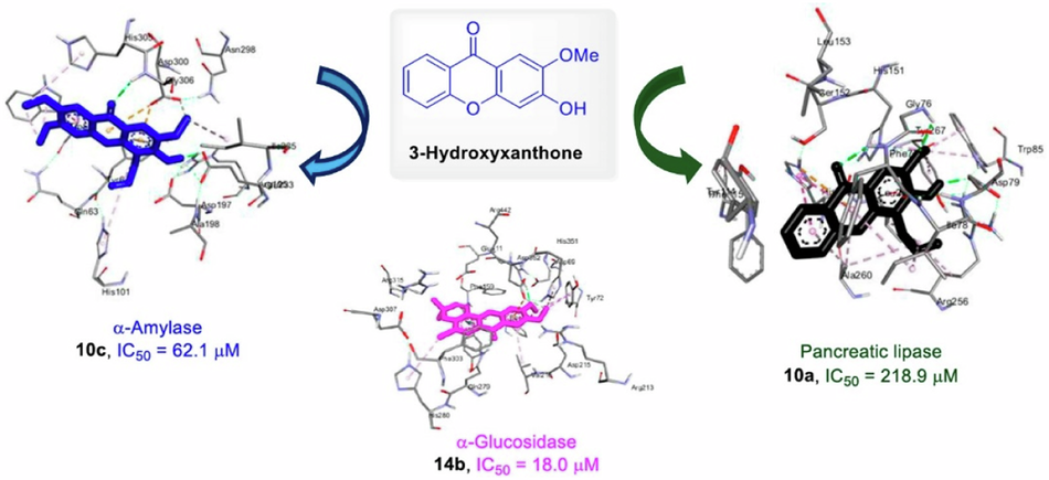 Novel alkoxy- and prenyl-xanthones derivatives as potential antidiabetic agents: Synthesis, in vitro evaluation and in silico studies