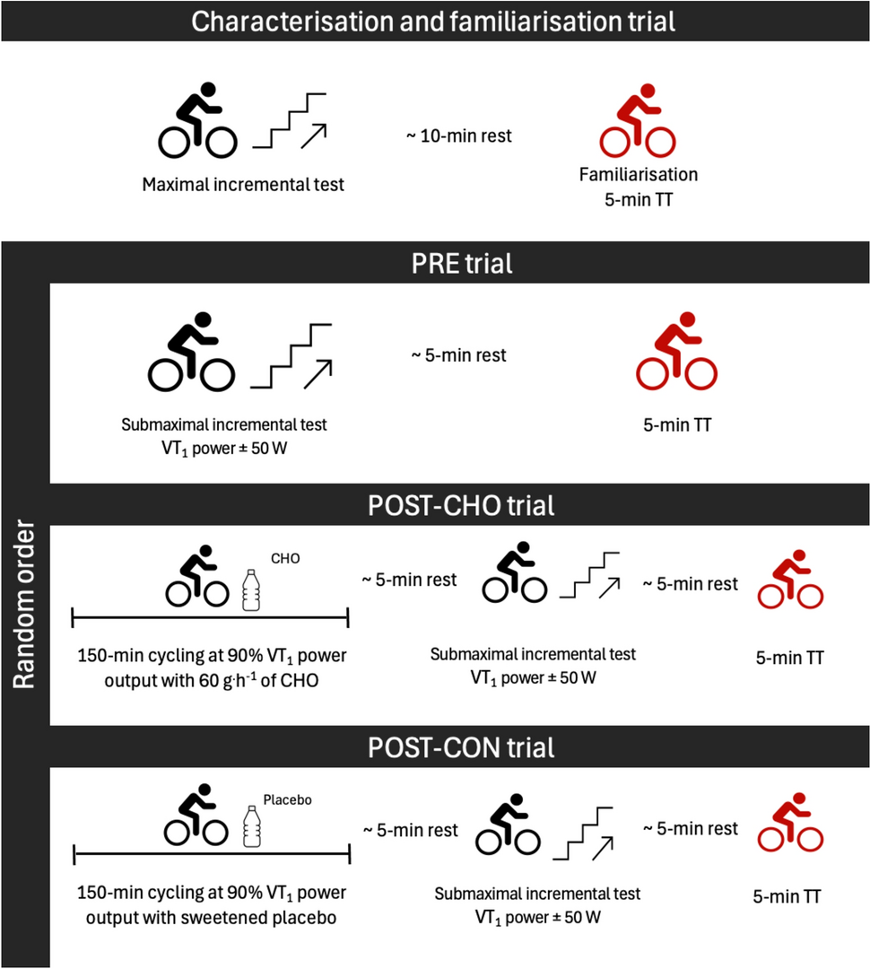 Carbohydrate ingestion during prolonged exercise blunts the reduction in power output at the moderate-to-heavy intensity transition