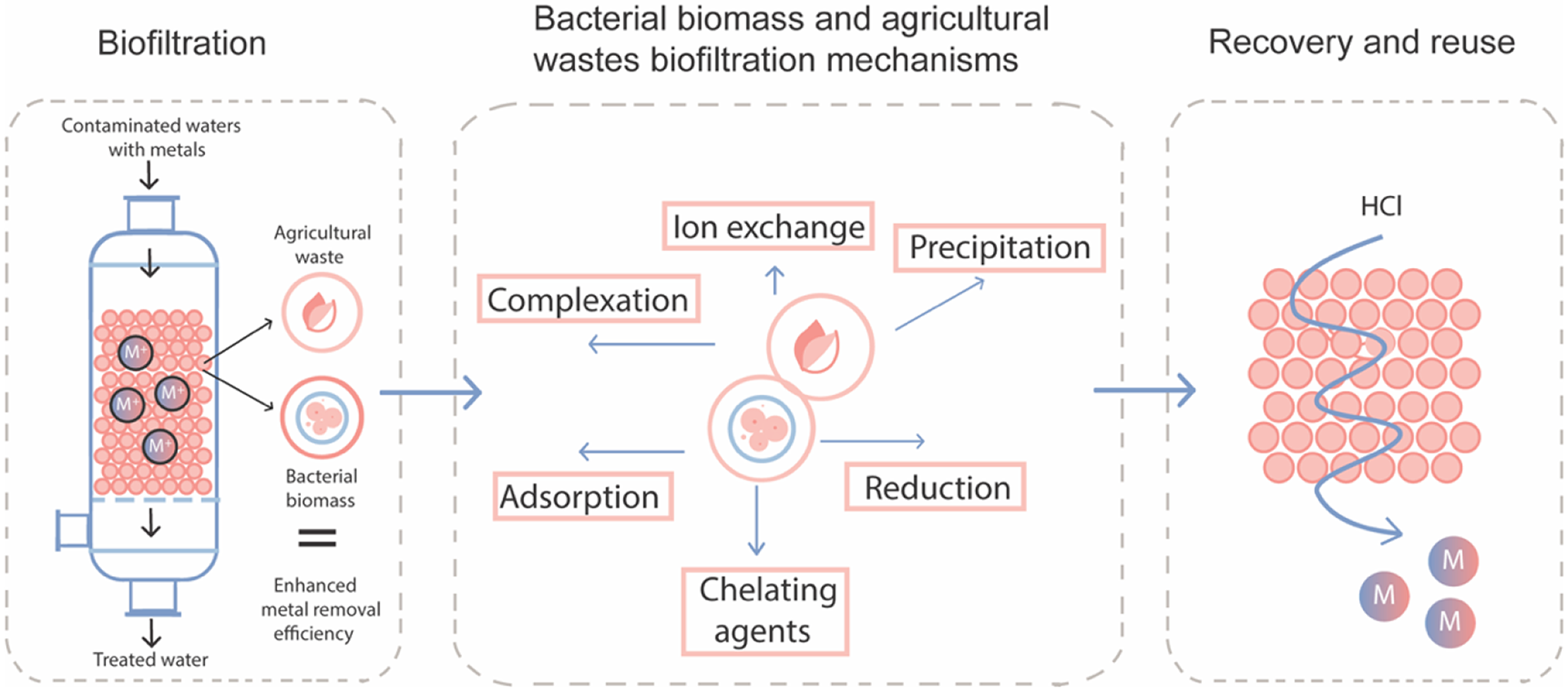 Agro-industrial wastes and their application perspectives in metal decontamination using biocomposites and bacterial biomass: a review