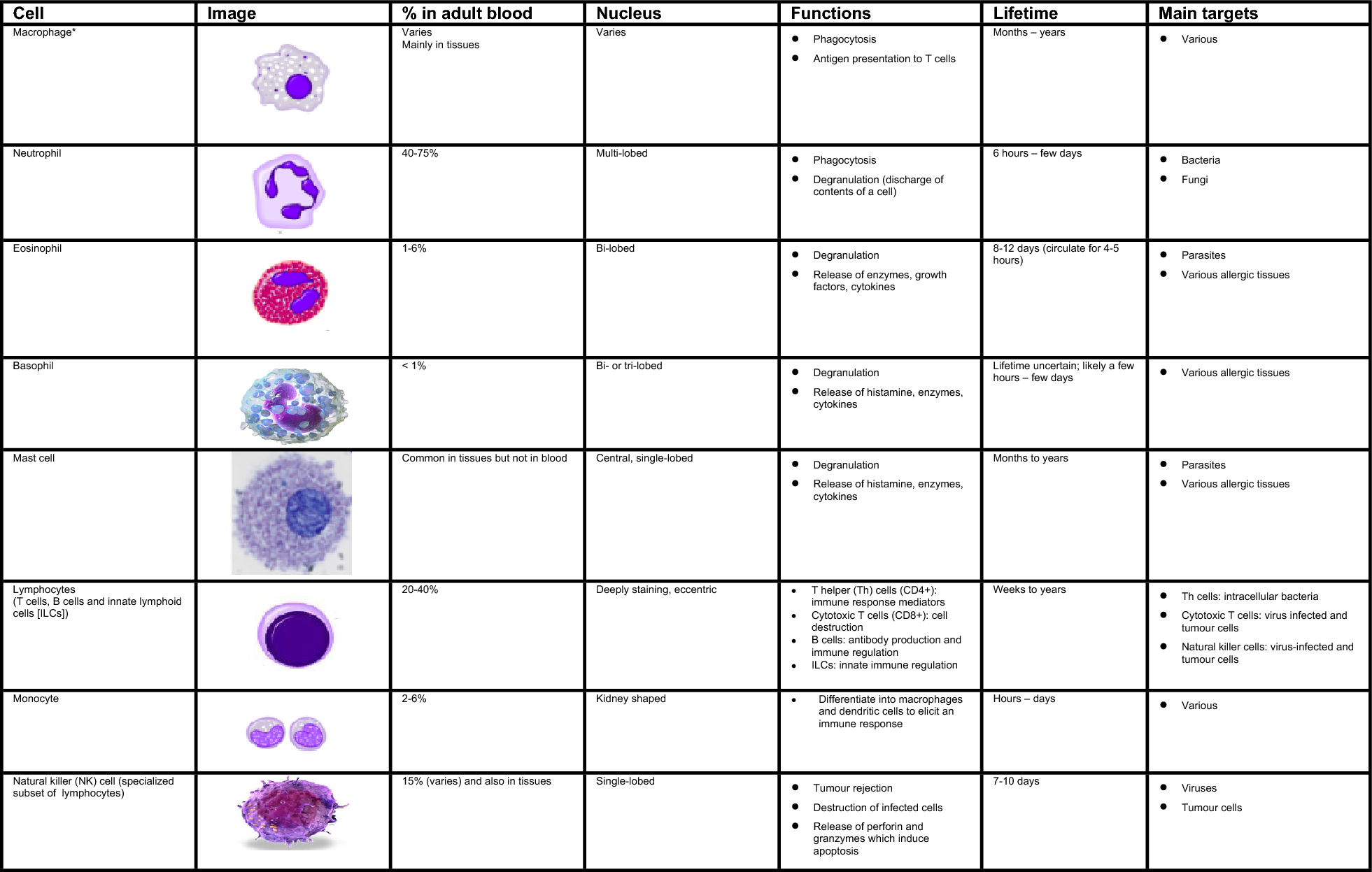 Introduction to immunology and immune disorders