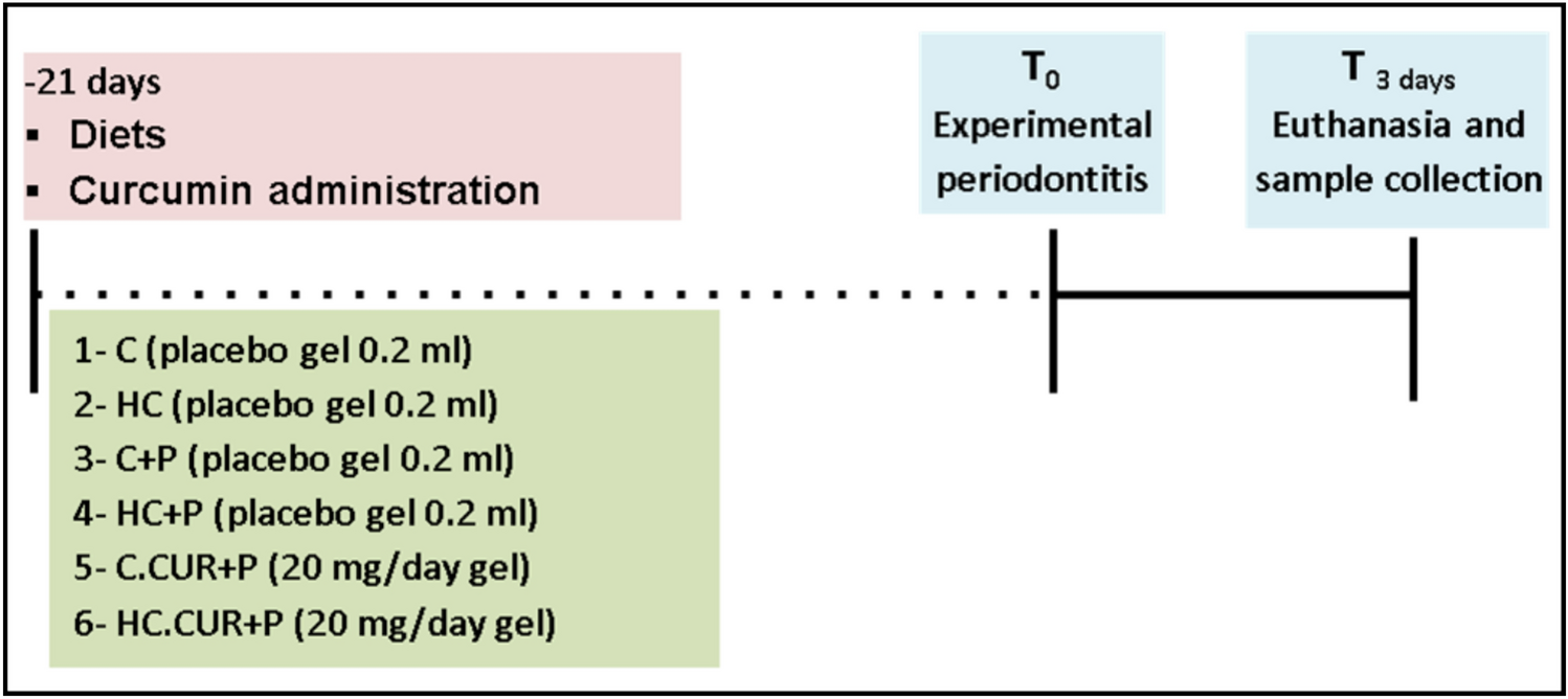 Curcumin administration mitigates periodontitis-induced tissue damage in hypercholesterolemic rats: a natural preventive approach