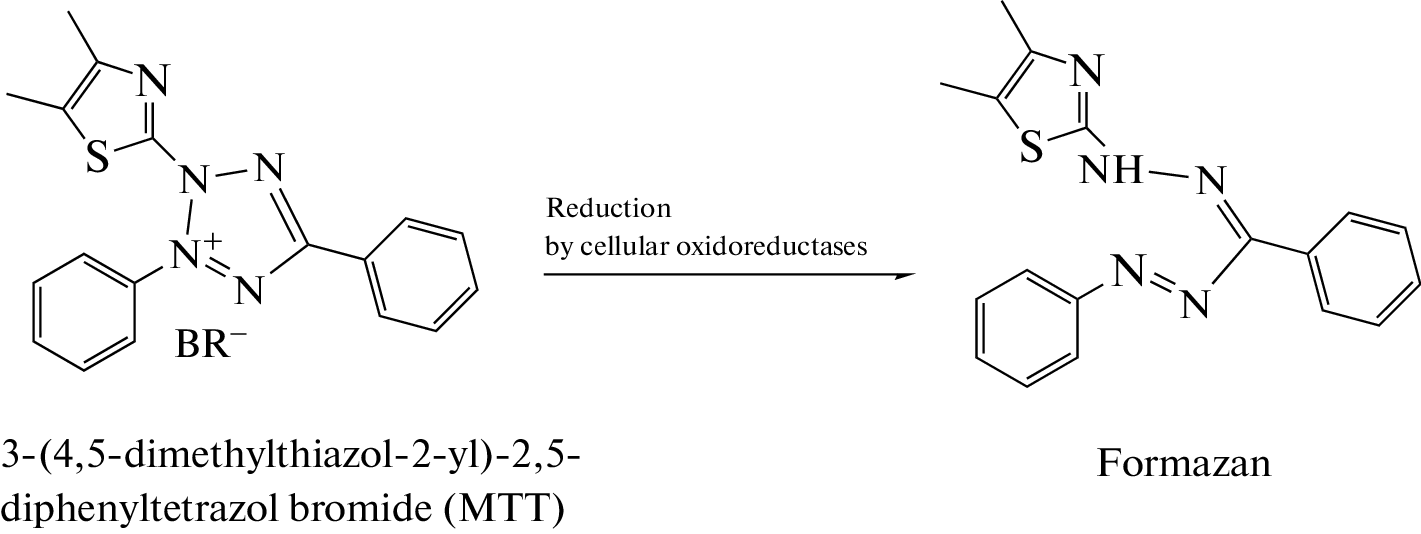 Surface-Enhanced Raman Scattering to Improve the Sensitivity of the MTT Assay