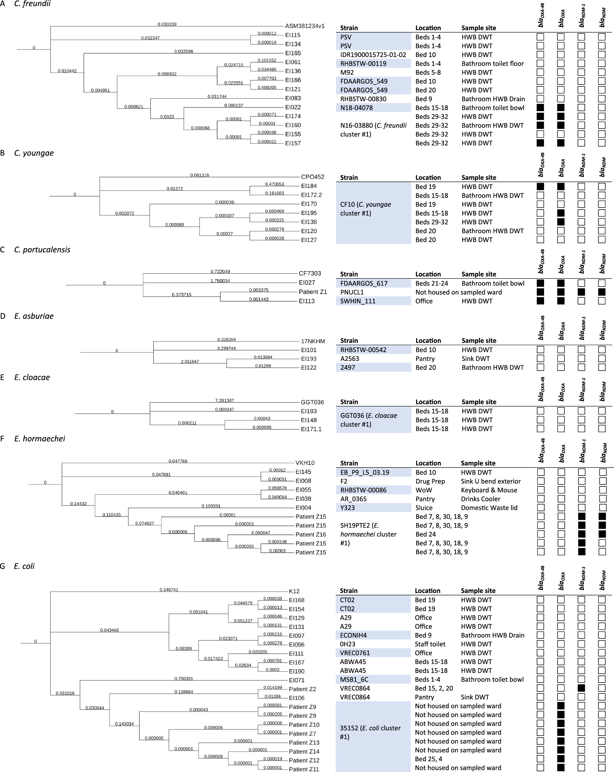 Tracing the transmission of carbapenem-resistant Enterobacterales at the patient: ward environmental nexus