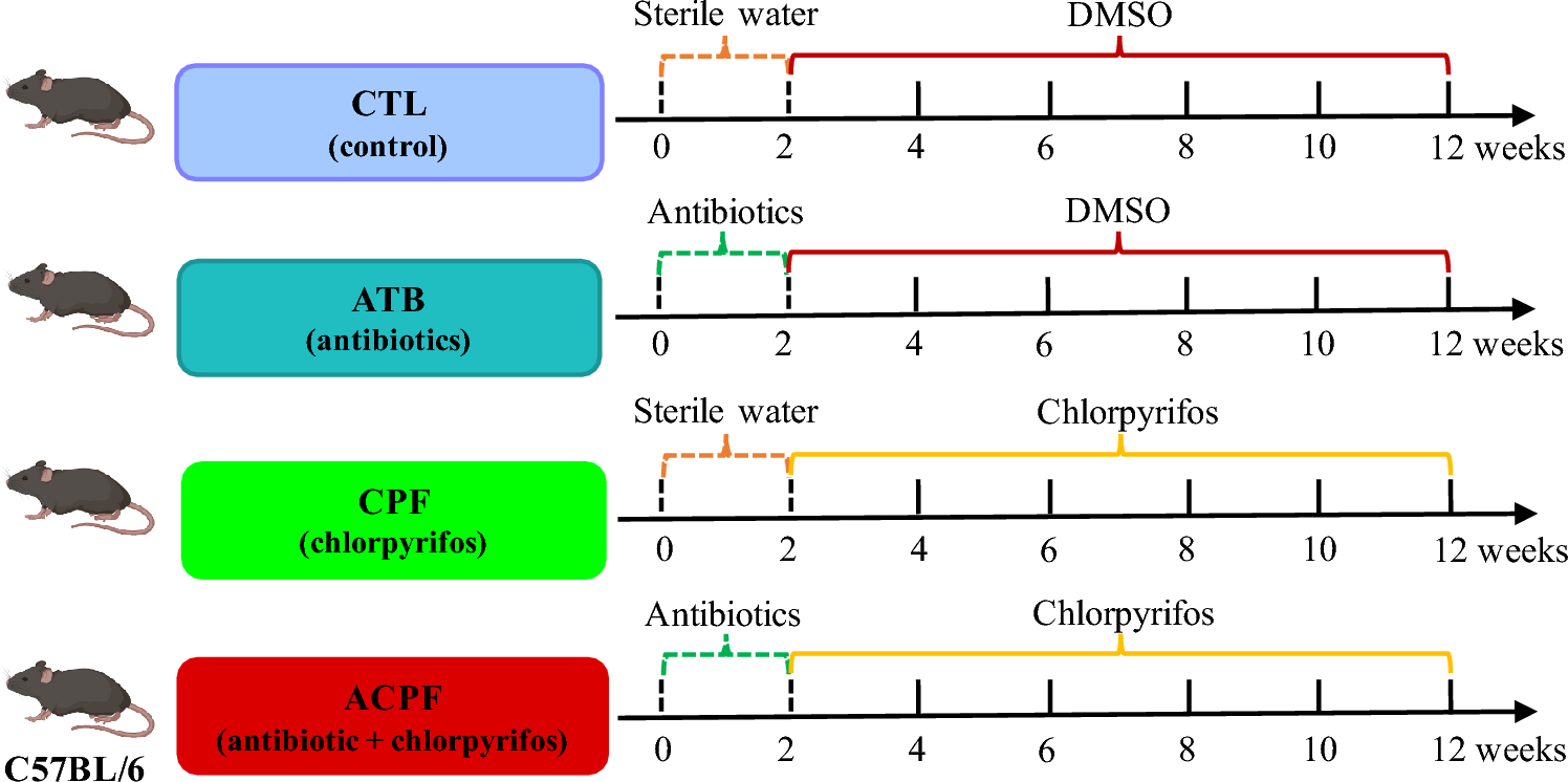 Involvement of gut microbiota in chlorpyrifos-induced subchronic toxicity in mice