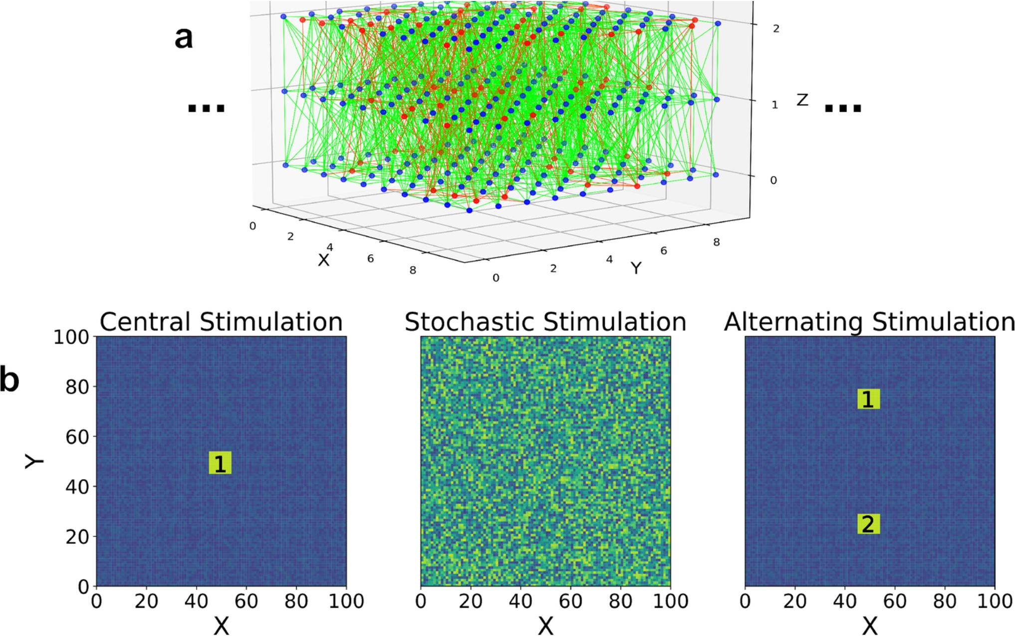 Neuronal traveling waves form preferred pathways using synaptic plasticity