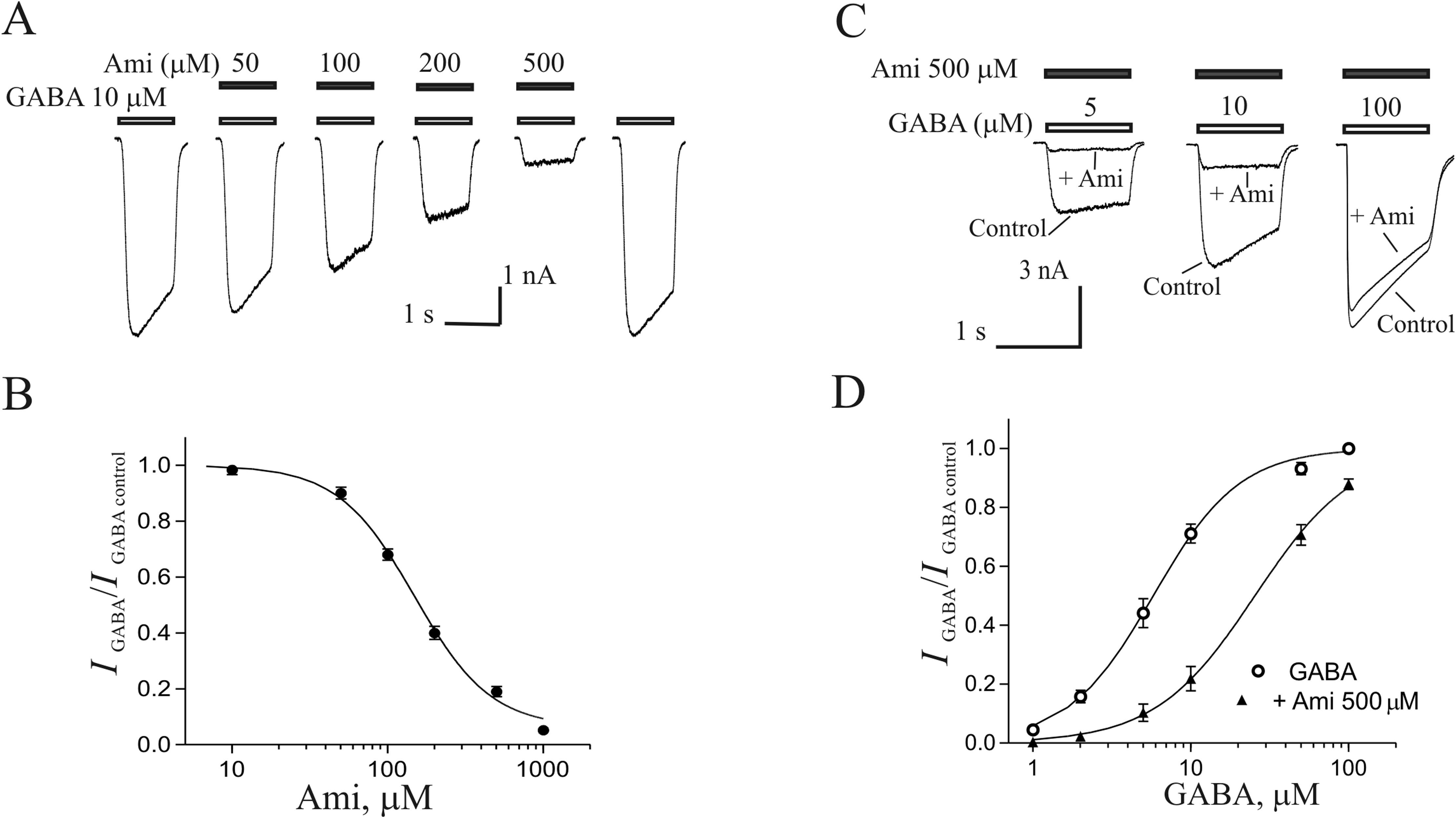 Interaction Between Allopregnanolone and Amiloride Binding Sites on the GABAA Receptor