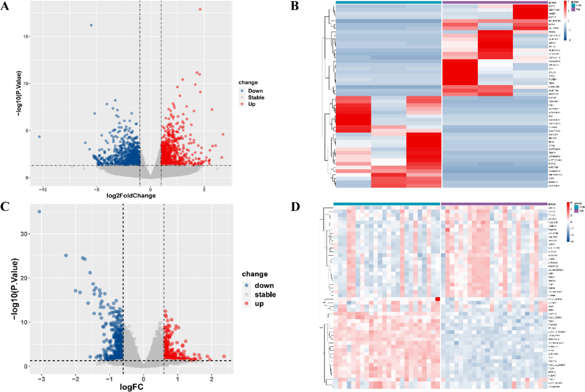 FXYD1 was identified as a hub gene in recurrent miscarriage and involved in decidualization via regulating Na/K-ATPase activity