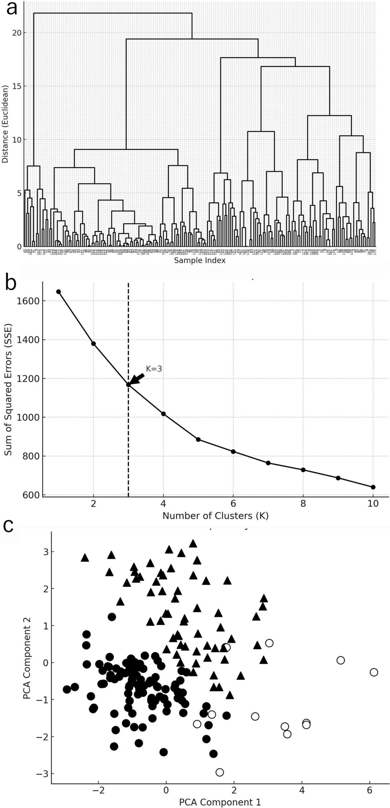 Unsupervised clustering analysis of treatment strategies for elite female athletes with severe stress urinary incontinence: focusing on competition return and SUI improvement