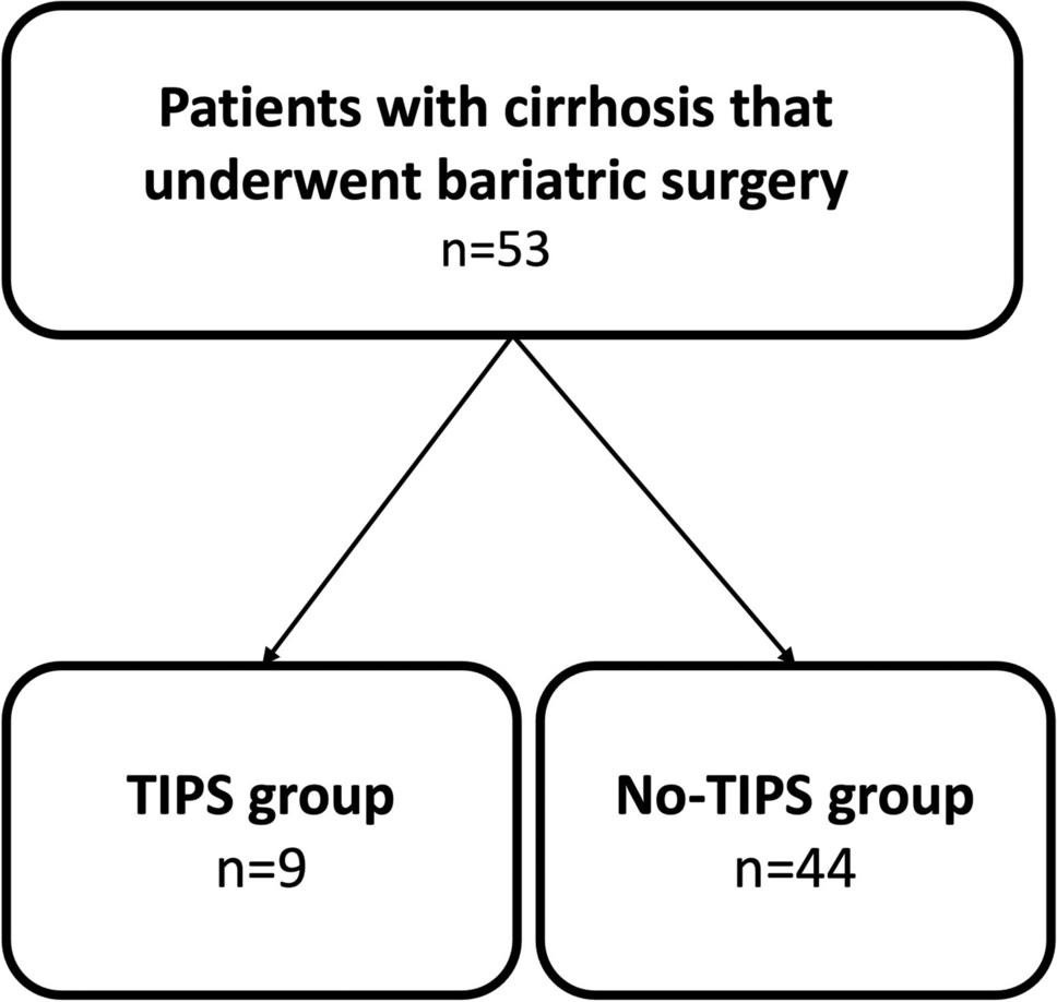 Transjugular Intrahepatic Portosystemic Shunt (TIPS): A Bridge to Bariatric Surgery in Morbidly Obese Patients with Cirrhosis and Clinically Significant Portal Hypertension