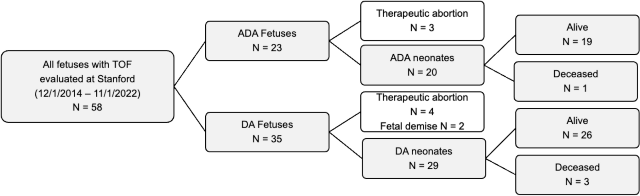 Fetal Characteristics and Perinatal Outcomes in Tetralogy of Fallot Without a Ductus Arteriosus