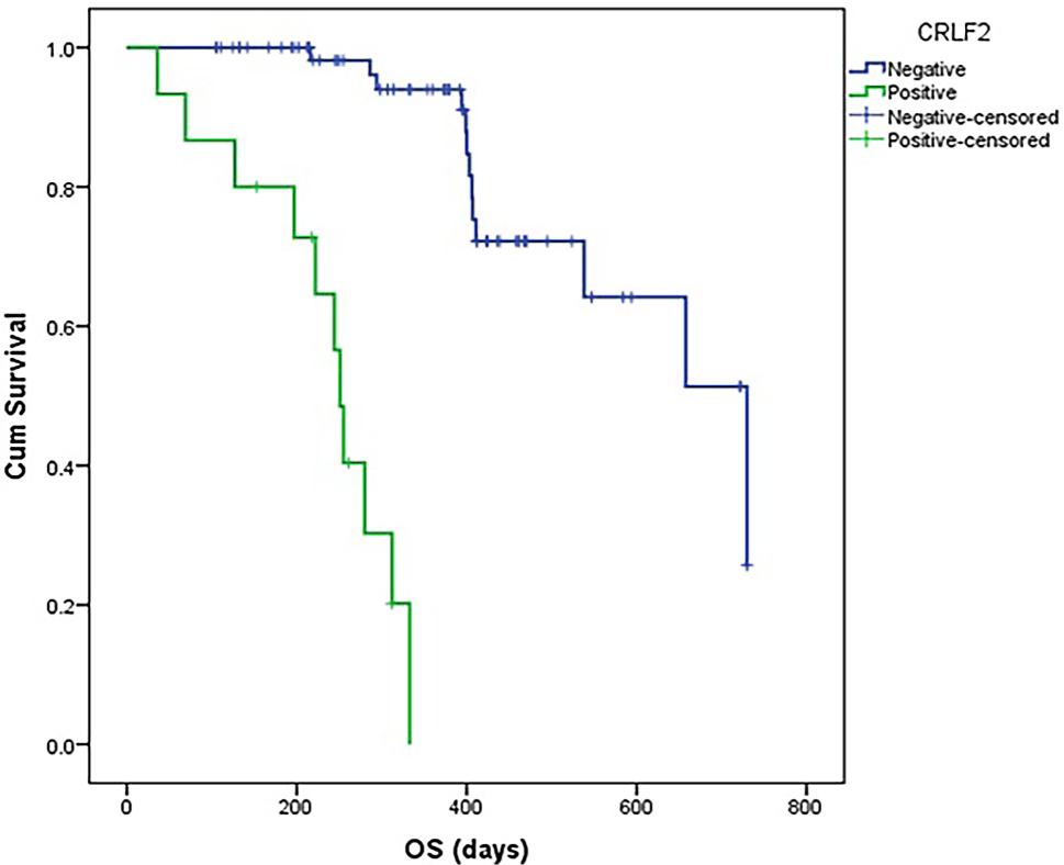 CRLF2 expression associated with poor outcome in Philadelphia-negative acute lymphoblastic leukemia