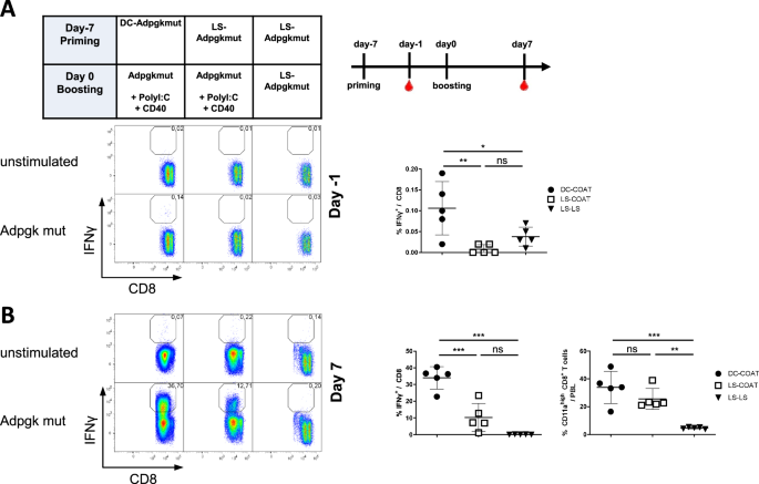 Sequential STING and CD40 agonism drives massive expansion of tumor-specific T cells in liposomal peptide vaccines