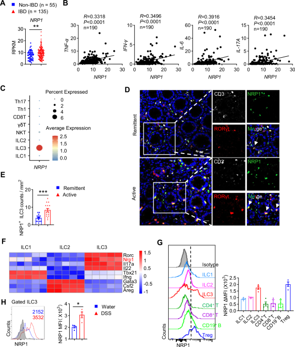 NRP1 instructs IL-17-producing ILC3s to drive colitis progression