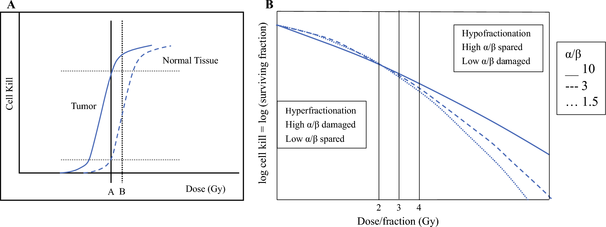 The Landmark Series: Neoadjuvant Radiotherapy in Extremity Soft Tissue Sarcoma—The Way to Hypofractionation