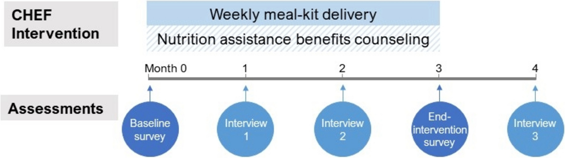 Development and refinement of the Cardiovascular Health Equity through Food (CHEF) intervention for childhood cancer survivors