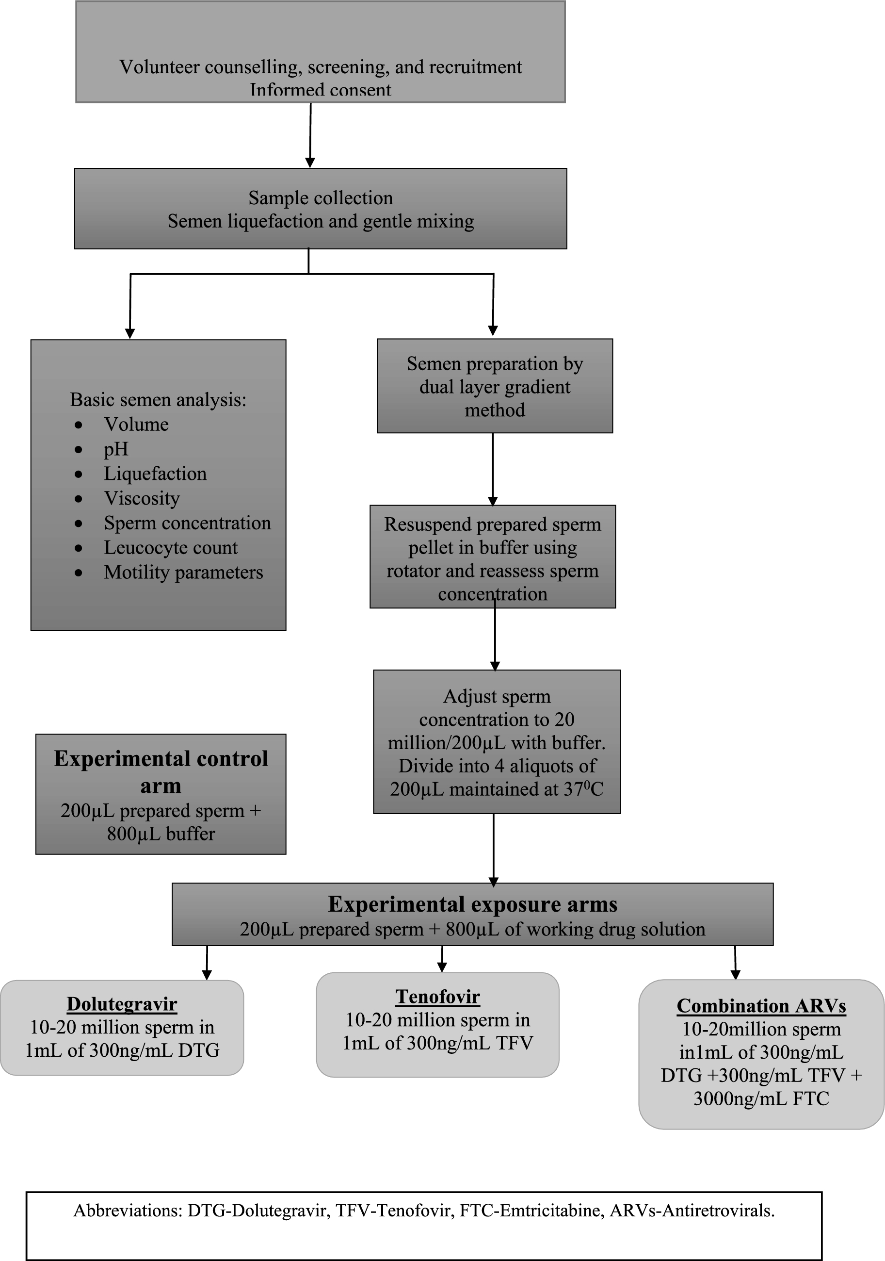 Effect of in vitro exposure of first-line antiretrovirals on healthy human spermatozoa on kinematics and motility