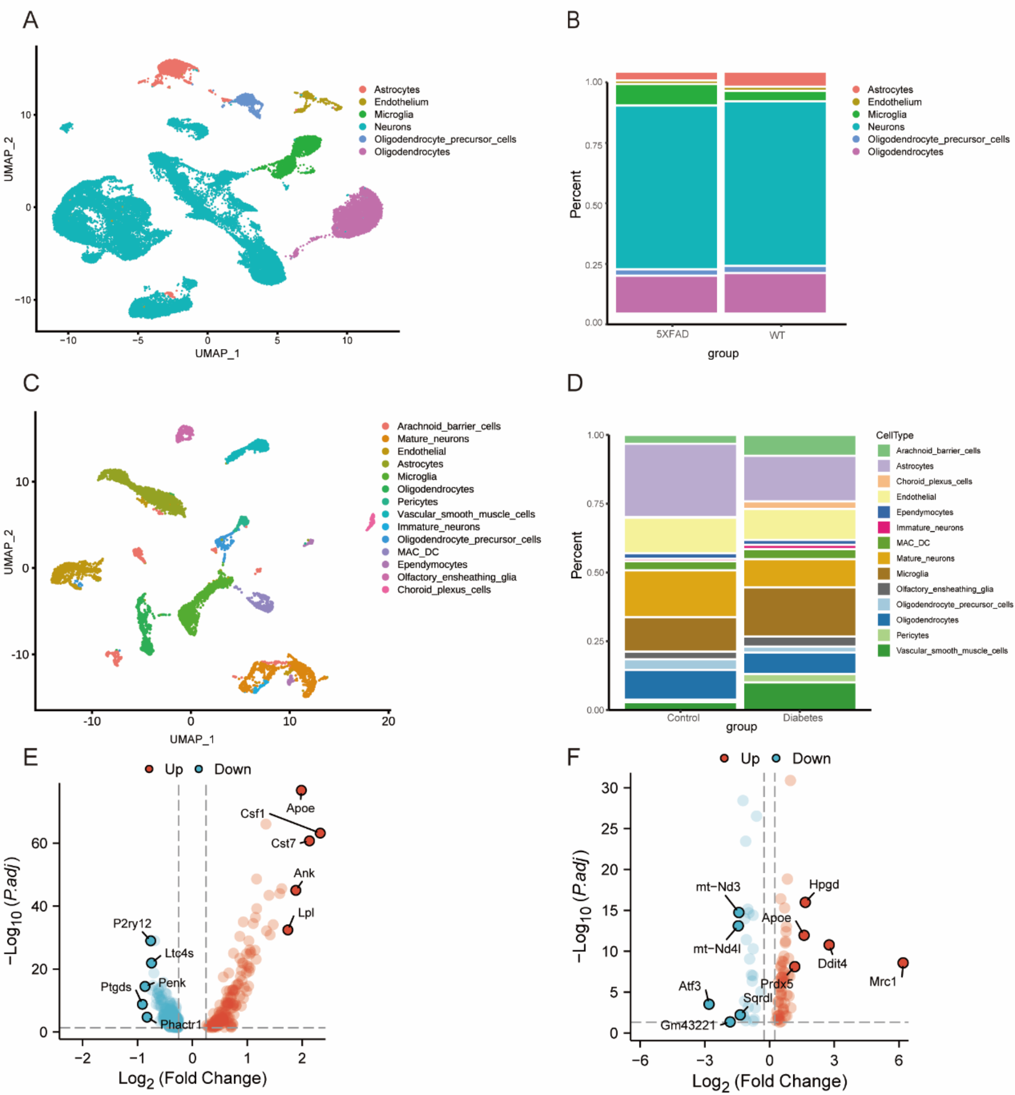 Alzheimer’s disease and diabetes-associated cognitive dysfunction: the microglia link?