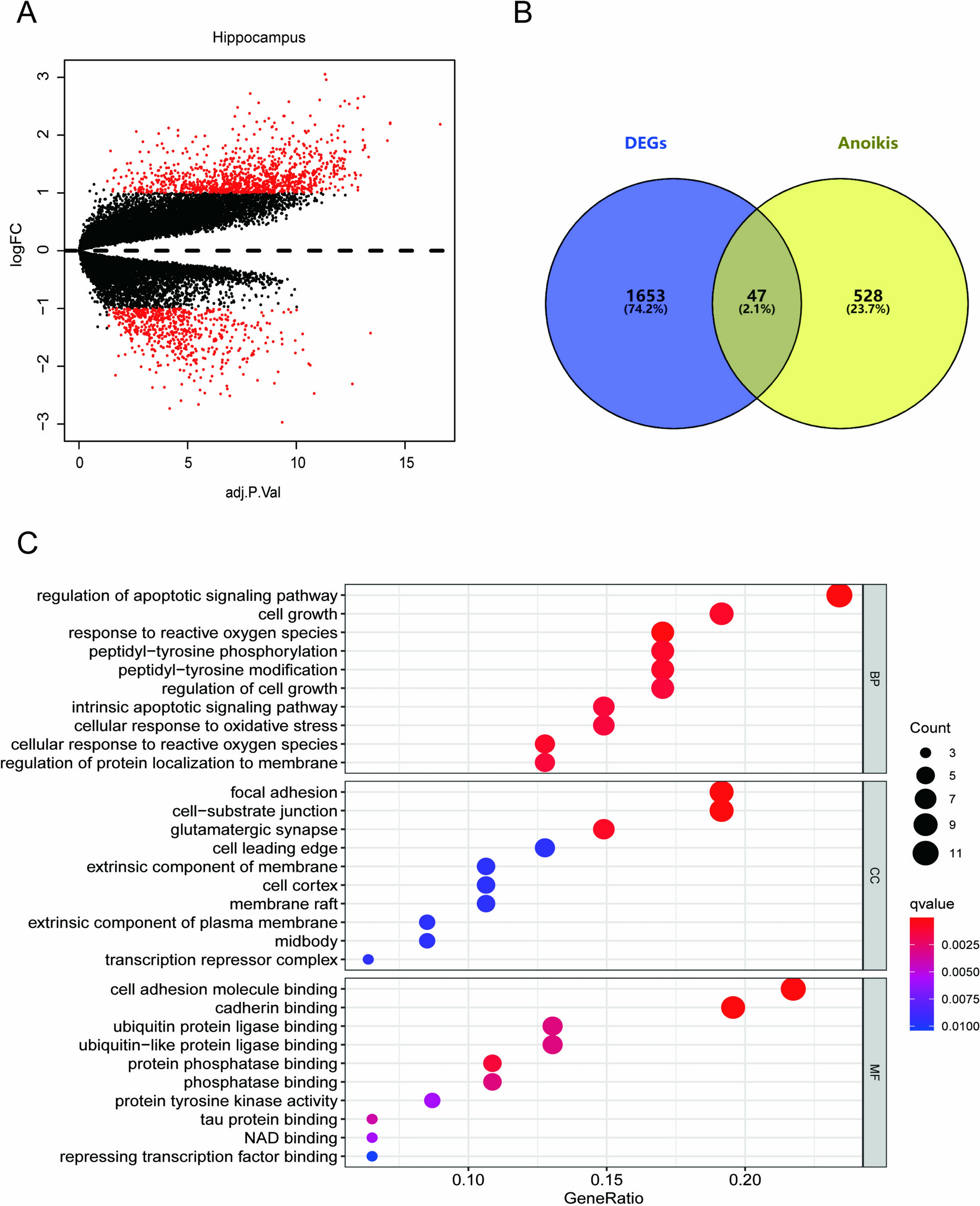 From Genes to Metabolites: HSP90B1’s Role in Alzheimer’s Disease and Potential for Therapeutic Intervention