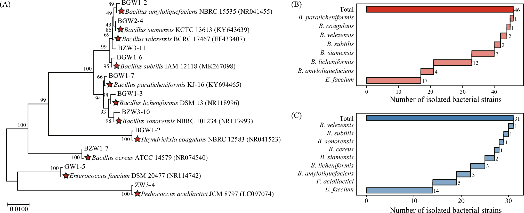 Characterization and Correlation Analysis of Bacterial Composition and Physicochemical Quality in High- and Medium-Temperature Daqu from China’s Binzhou Region