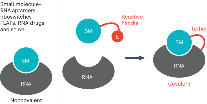 Engineering covalent small molecule–RNA complexes in living cells