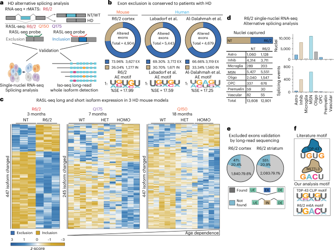 Aberrant splicing in Huntington’s disease accompanies disrupted TDP-43 activity and altered m6A RNA modification