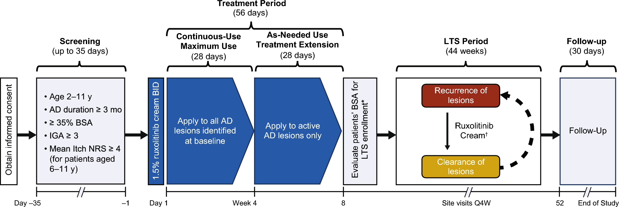 A Maximum-Use Trial of Ruxolitinib Cream in Children Aged 2–11 Years with Moderate to Severe Atopic Dermatitis