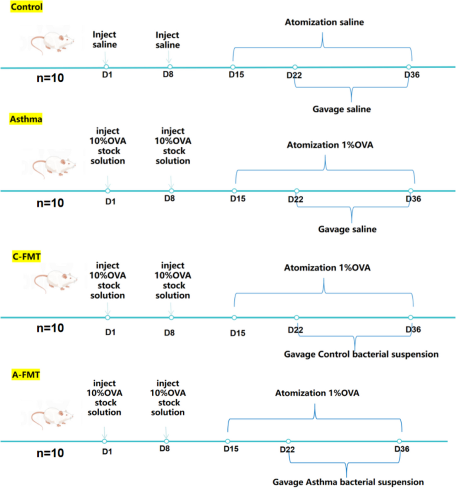 Fecal Microbiota Transplantation Alleviates Airway Inflammation in Asthmatic Rats by Increasing the Level of Short-Chain Fatty Acids in the Intestine