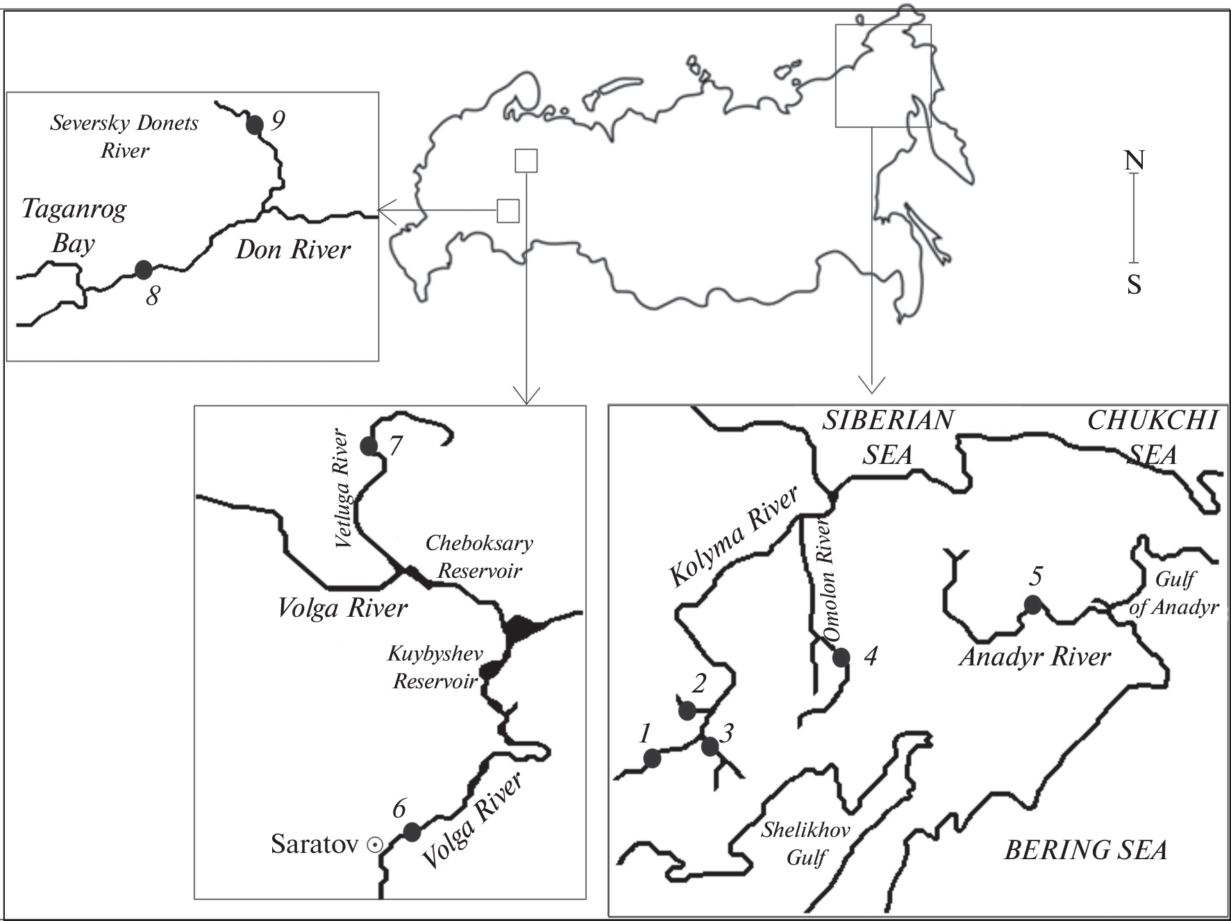 Genetic Variation and Phylogenetic Relationships of Northern Pike (Esox lucius L.) Populations from Some Rivers of Russia