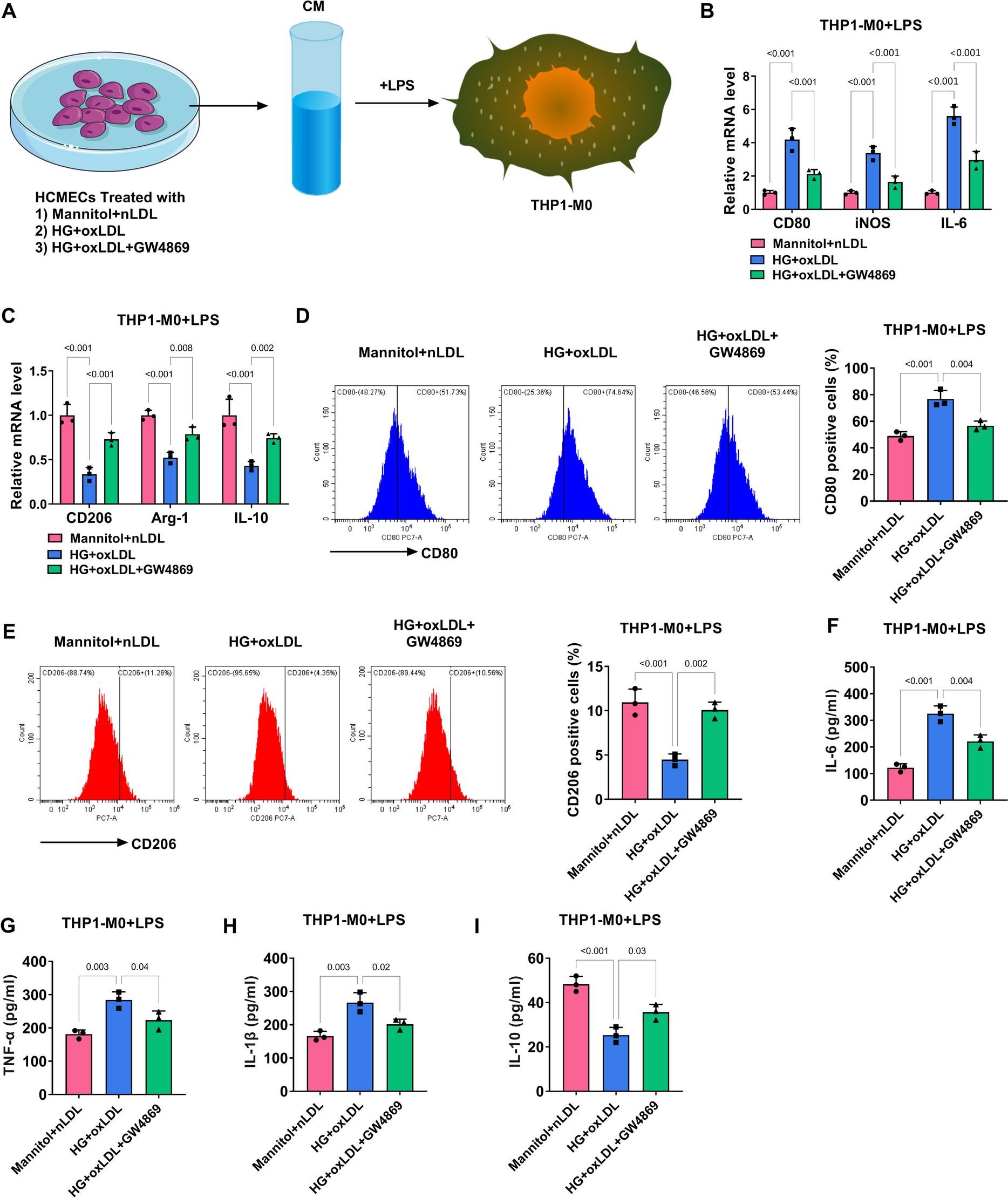 Exosomal NEDD4L derived from HG+oxLDL-induced vascular endothelial cells accelerates macrophage M1 polarization and oxLDL uptake by ubiquitinating IκBα and PPARγ