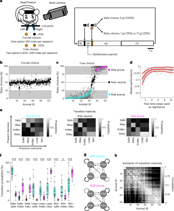 A distinct hypothalamus–habenula circuit governs risk preference