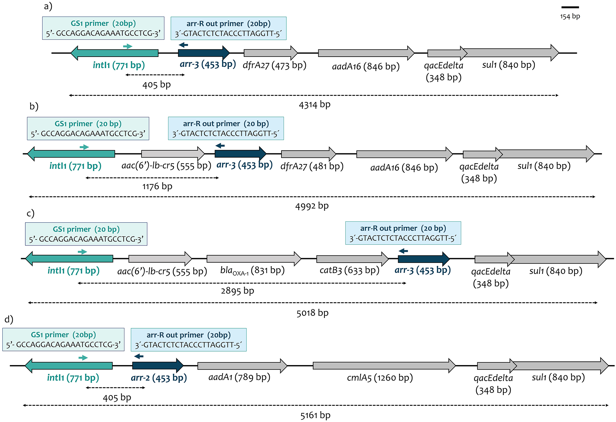 Dissemination of arr-2 and arr-3 is associated with class 1 integrons in Klebsiella pneumoniae clinical isolates from Portugal