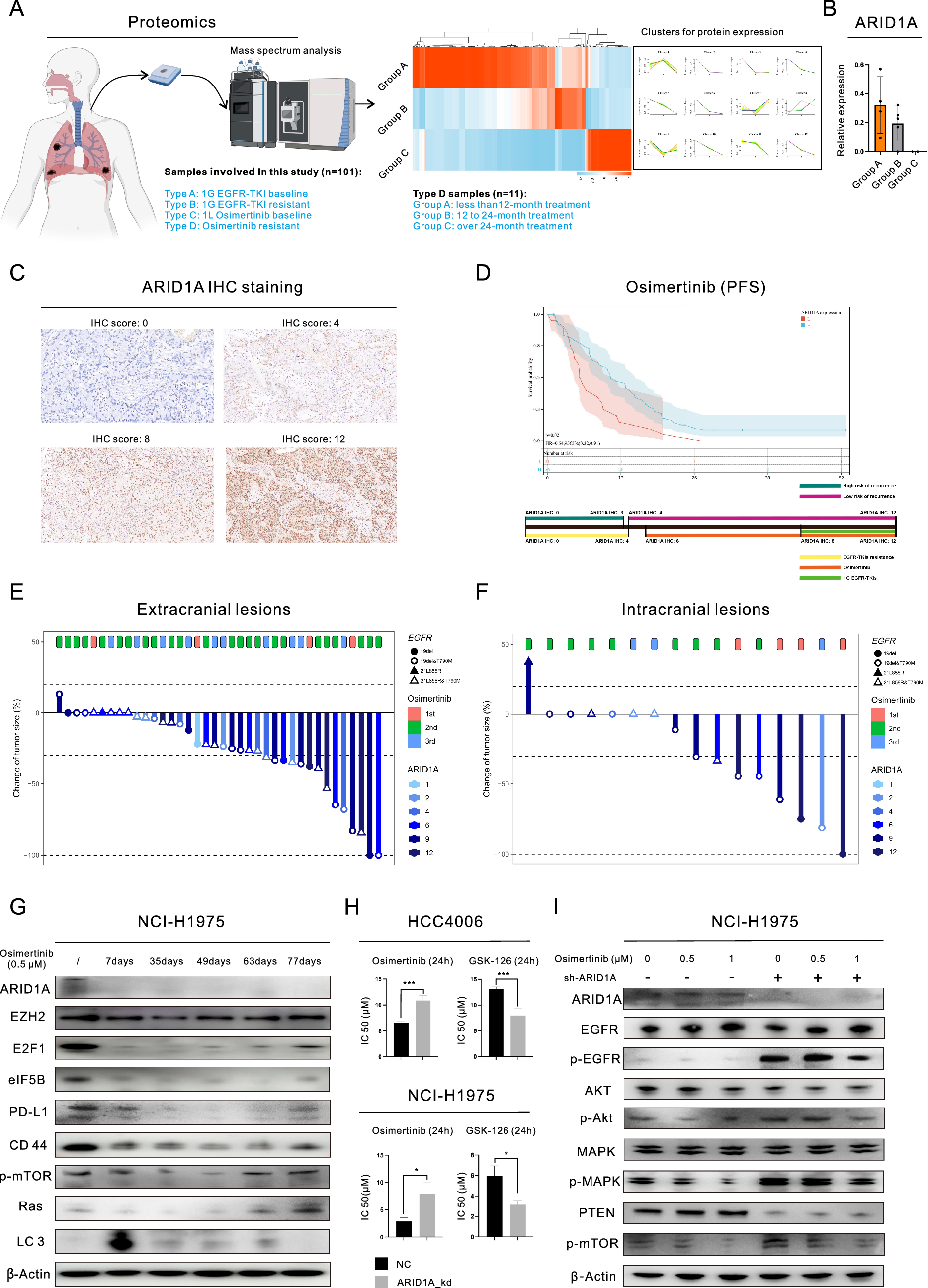 A cohort-based multi-omics identifies nuclear translocation of eIF5B /PD-L1/CD44 complex as the target to overcome Osimertinib resistance of ARID1A-deficient lung adenocarcinoma