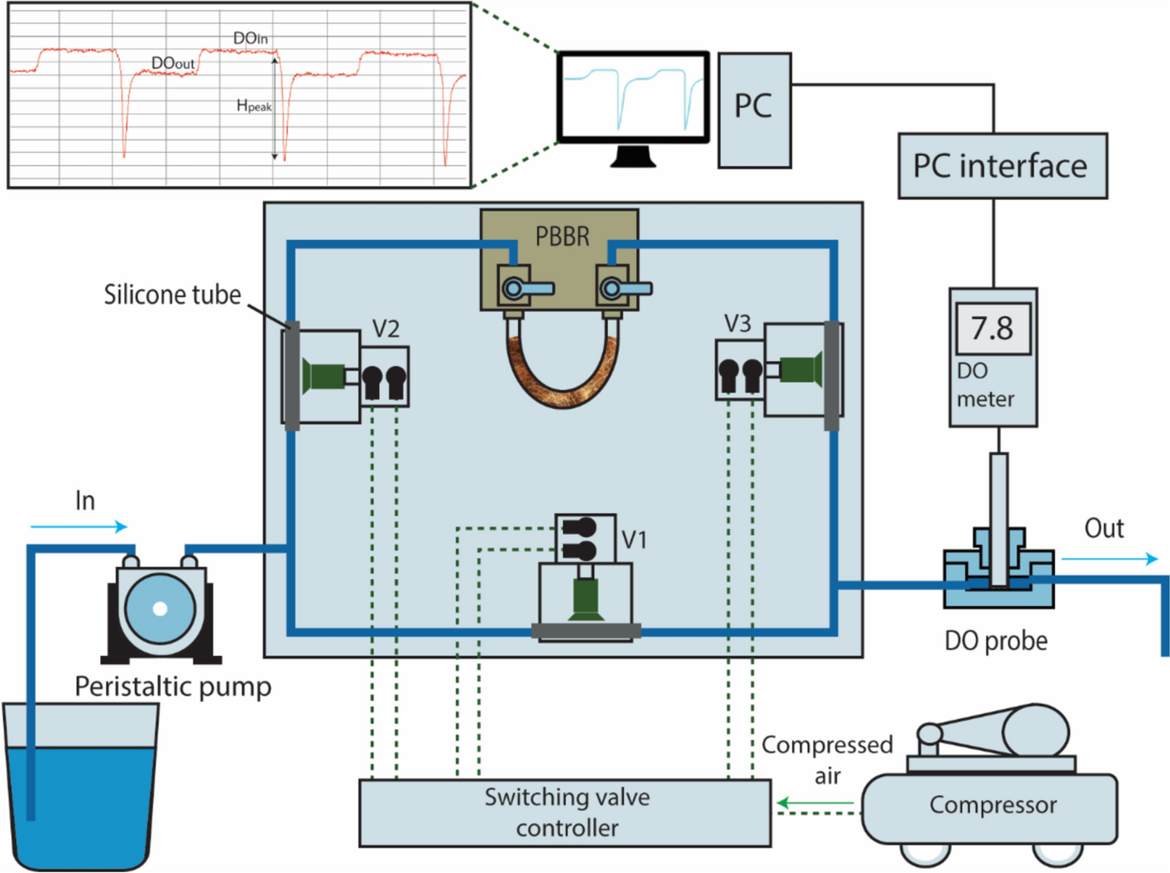 Demonstration of adapted packed-bed bioreactor for accurate and rapid estimation of biochemical oxygen demand: insights into the influence of microbial community structure and functions