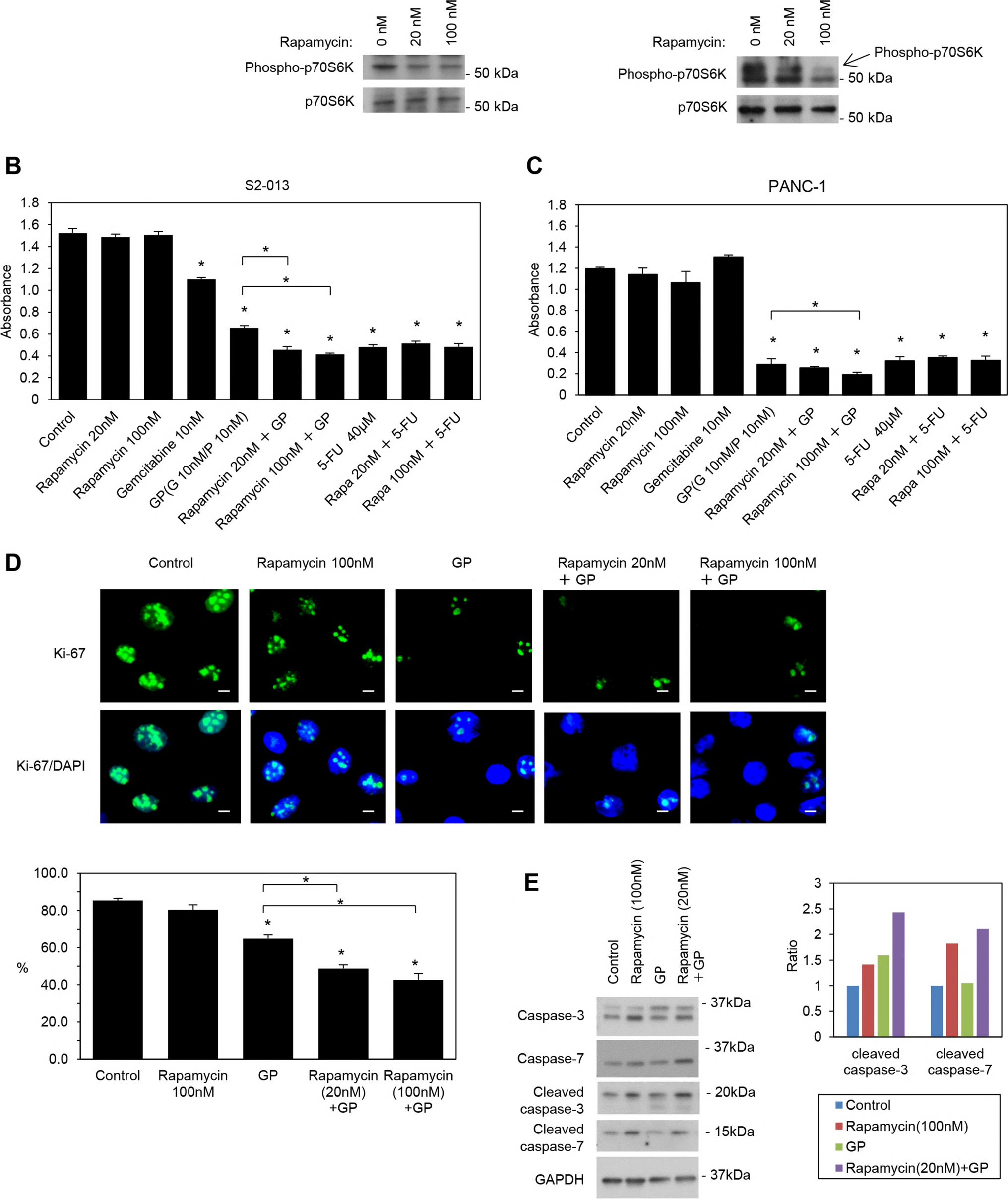 Inhibitory effects of the combination of rapamycin with gemcitabine plus paclitaxel on the growth of pancreatic cancer tumors